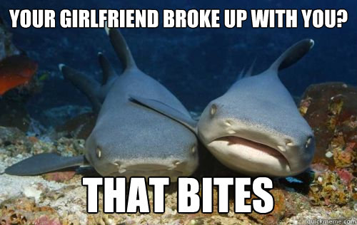 Your girlfriend broke up with you? that bites  Compassionate Shark Friend