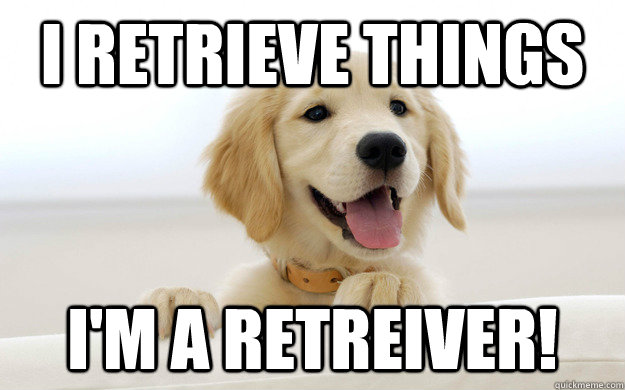 I retrieve things I'm a retreiver!  ImARetriever