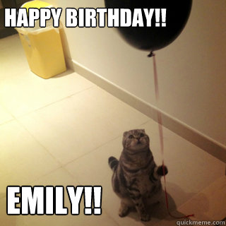 HappY BIrthday!! EMILY!! - HappY BIrthday!! EMILY!!  Sad Birthday Cat