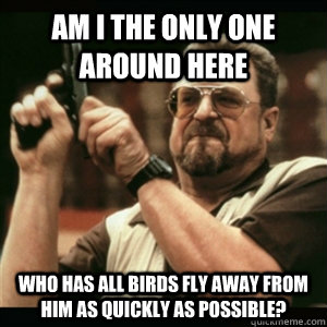 Am i the only one around here Who has all birds fly away from him as quickly as possible? - Am i the only one around here Who has all birds fly away from him as quickly as possible?  Am I The Only One Round Here