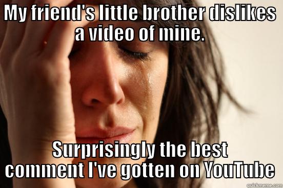 MY FRIEND'S LITTLE BROTHER DISLIKES A VIDEO OF MINE. SURPRISINGLY THE BEST COMMENT I'VE GOTTEN ON YOUTUBE First World Problems