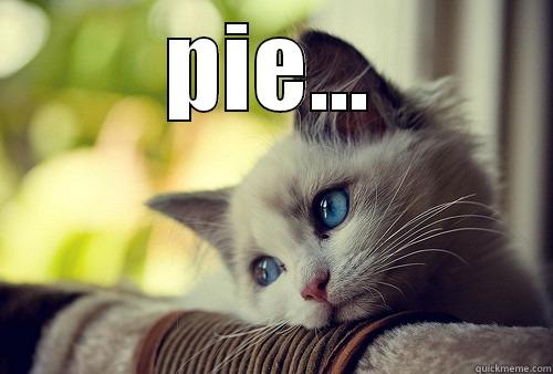 PIE...  First World Problems Cat