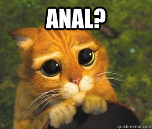ANAL?   Pleading Kitty