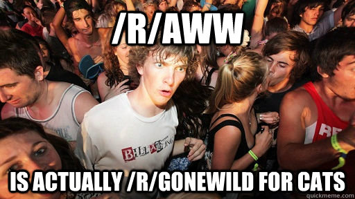 /r/Aww Is actually /r/gonewild for cats  Sudden Clarity Clarence