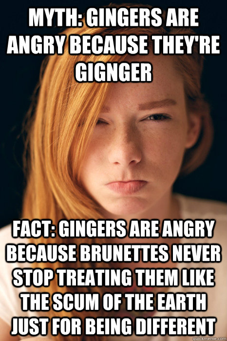 mYTH: gINGERS ARE ANGRY BECAUSE THEY'RE GIGNGER Fact: Gingers are angry because brunettes never stop treating them like the scum of the earth just for being different  Ginger Myths
