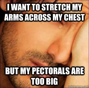 I want to stretch my arms across my chest but my pectorals are too big - I want to stretch my arms across my chest but my pectorals are too big  First World Attractive Male Problems