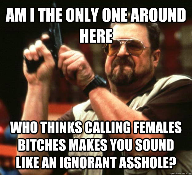 AM I THE ONLY ONE AROUND HERE who thinks calling females bitches makes you sound like an ignorant asshole?  Angry Walter