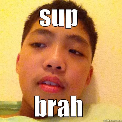 SUP BRAH Misc
