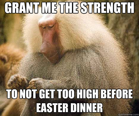 Grant ME THE STRENGTH tO NOT GET TOO HIGH BEFORE EASTER DINNER  Strength Prayer Baboon