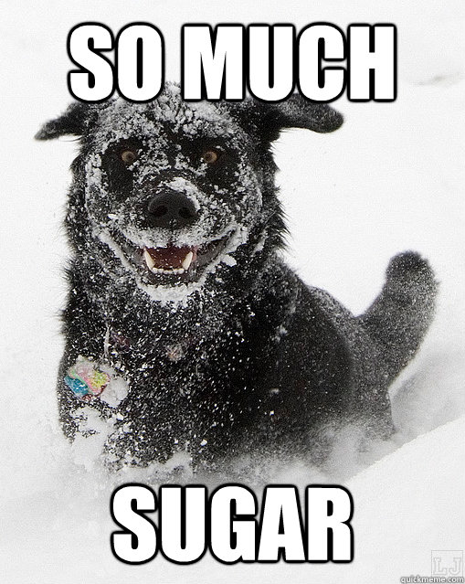 SO MUCH Sugar  Cocaine dog