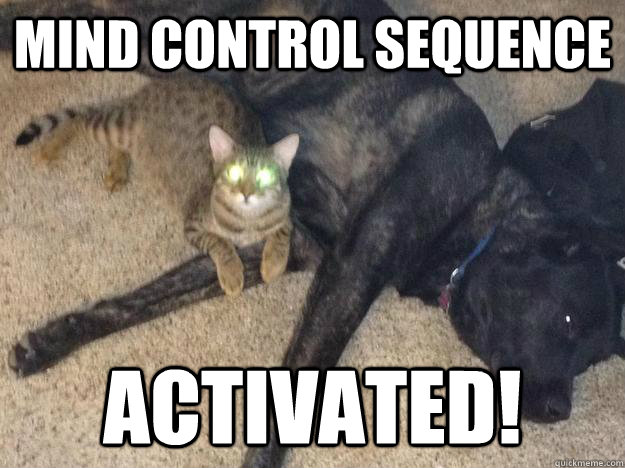 Mind control sequence ACTIVATED! - Mind control sequence ACTIVATED!  How seeing eye dogs REALLY started...