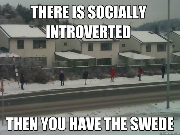 there is socially introverted then you have the swede - there is socially introverted then you have the swede  waiting for the bus