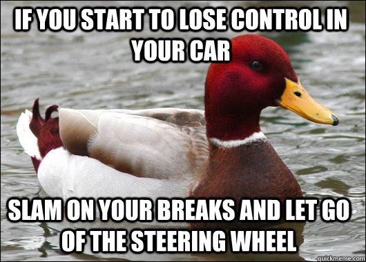 If you start to lose control in your car Slam on your breaks and let go of the steering wheel  Malicious Advice Mallard