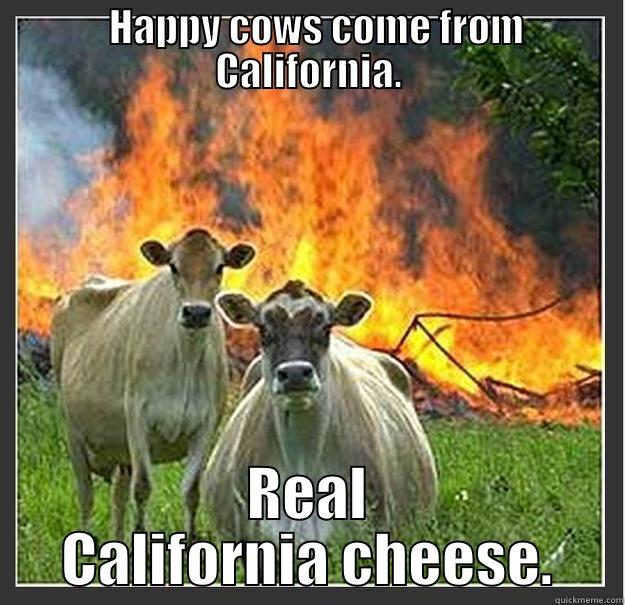 cows in California are not happy -   HAPPY COWS COME FROM CALIFORNIA. REAL CALIFORNIA CHEESE. Evil cows