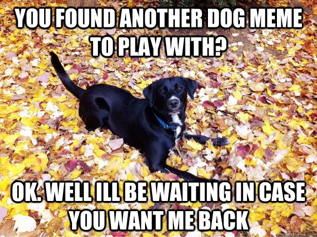 you found another dog meme to play with? ok. well ill be waiting in case you want me back - you found another dog meme to play with? ok. well ill be waiting in case you want me back  Guilt Giving Good Dog