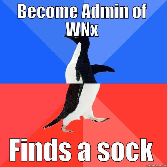 Dobby of WNx - BECOME ADMIN OF WNX FINDS A SOCK Socially Awkward Awesome Penguin