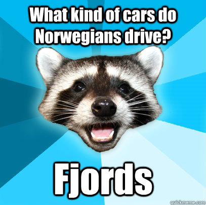 What kind of cars do Norwegians drive? Fjords  Lame Pun Coon