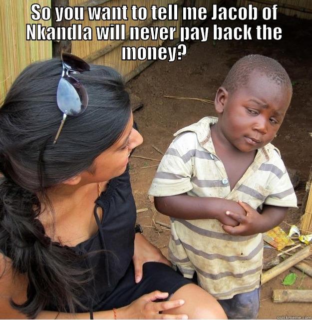 SO YOU WANT TO TELL ME JACOB OF NKANDLA WILL NEVER PAY BACK THE MONEY?  Skeptical Third World Kid