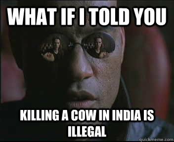 What if I told you killing a cow in india is illegal  Morpheus SC