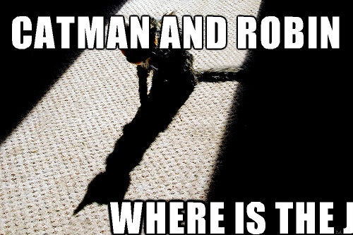 catman and robin
 where is the joker - catman and robin
 where is the joker  Catman