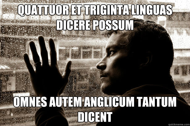 quattuor et triginta linguas dicere possum omnes autem anglicum tantum dicent  Over-Educated Problems