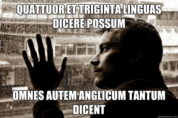 quattuor et triginta linguas dicere possum omnes autem anglicum tantum dicent  Over-Educated Problems