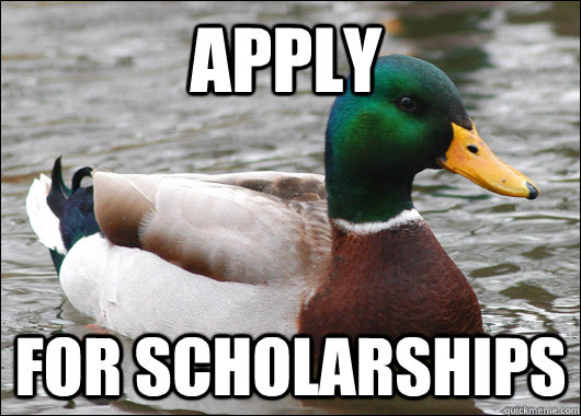 Apply For scholarships  Actual Advice Mallard