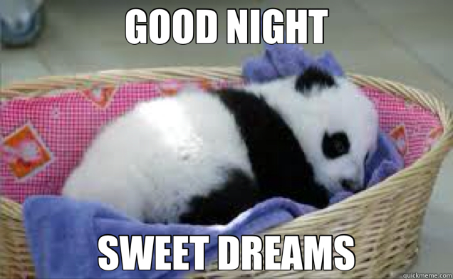 GOOD NIGHT SWEET DREAMS - GOOD NIGHT SWEET DREAMS  panda