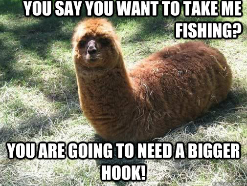 You say you want to take me fishing? You are going to need a bigger hook!  Alpacapillar