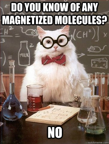 do you know of any magnetized molecules? no  Chemistry Cat