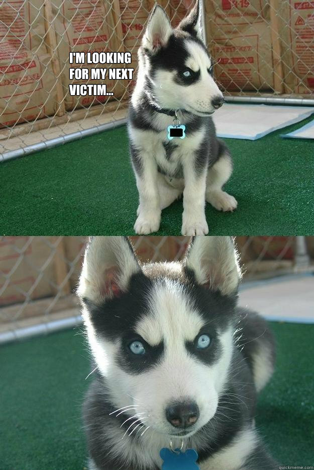 i'm looking
for my next
victim...   Insanity puppy