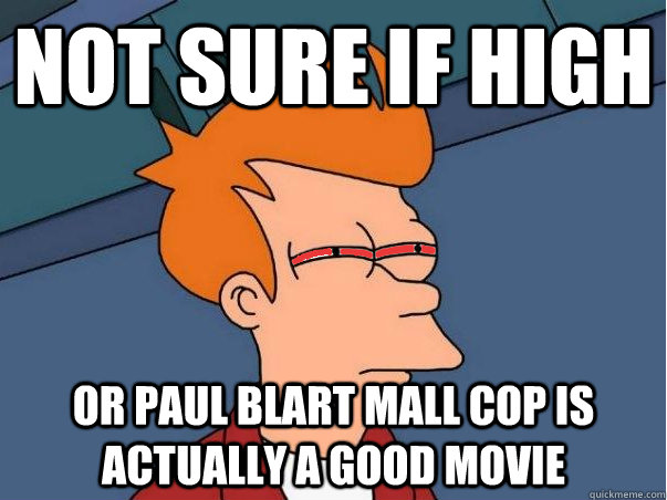 Not sure if high Or Paul Blart mall cop is actually a good movie - Not sure if high Or Paul Blart mall cop is actually a good movie  High Fry