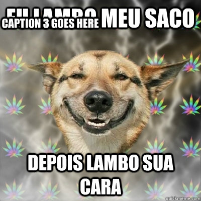 eu lambo meu saco depois lambo sua cara Caption 3 goes here  Stoner Dog