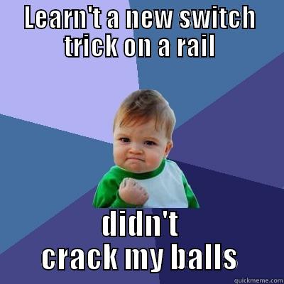 LEARN'T A NEW SWITCH TRICK ON A RAIL DIDN'T CRACK MY BALLS Success Kid
