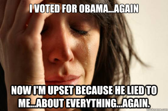 I voted for obama...again Now i'm upset because he lied to me...about everything...again.  First World Problems