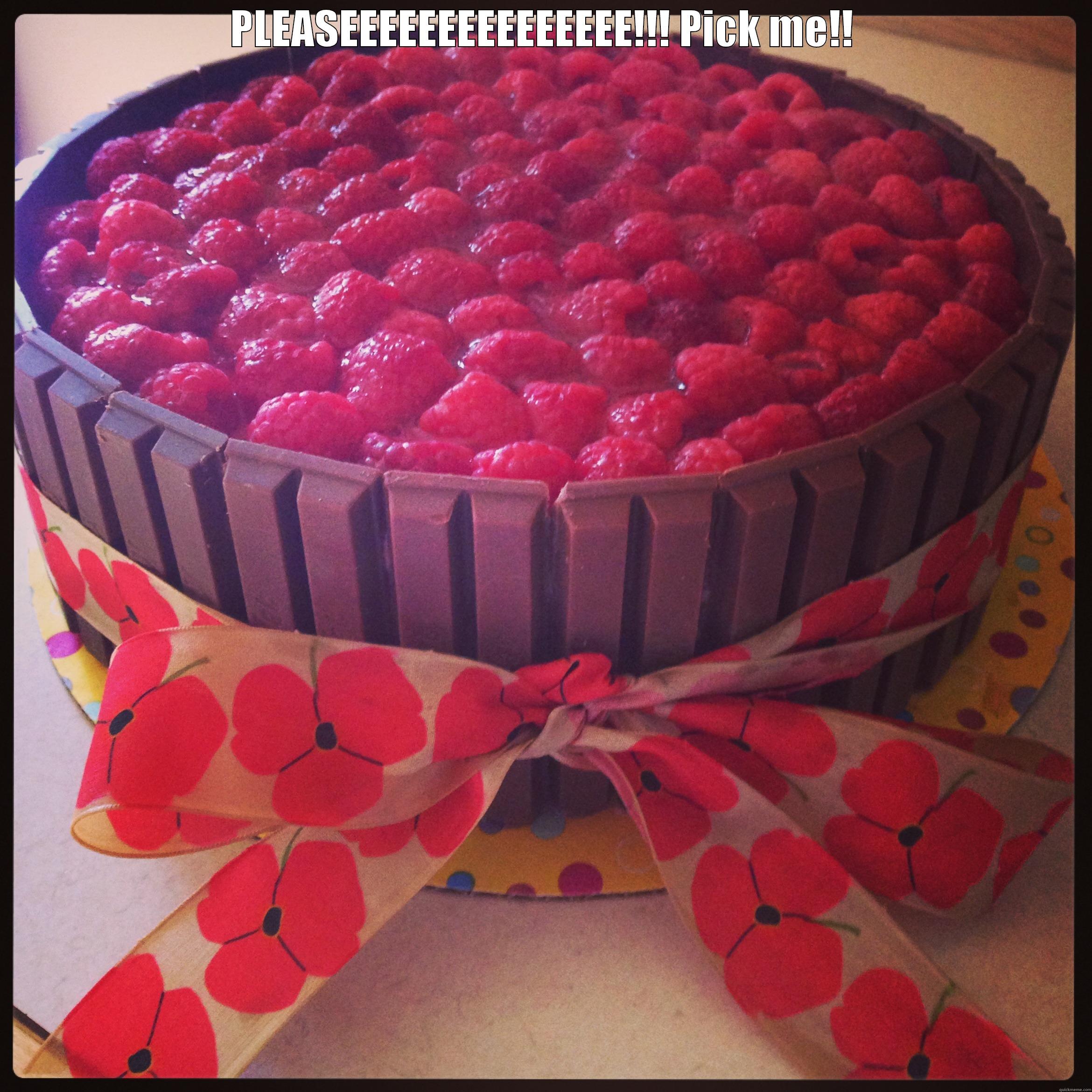 PLEASEEEEEEEEEEEEEEE!!! PICK ME!! WITH A RASPBERRY ON TOP!!! Misc