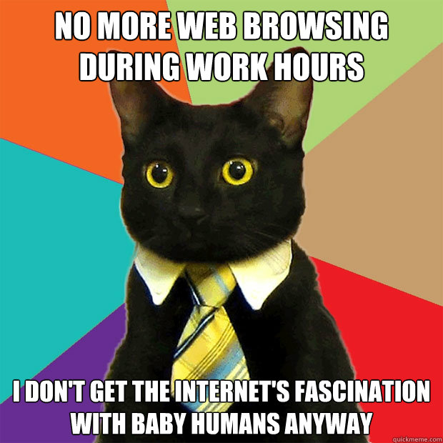 No more web browsing during work hours i don't get the internet's fascination with baby humans anyway - No more web browsing during work hours i don't get the internet's fascination with baby humans anyway  Business Cat