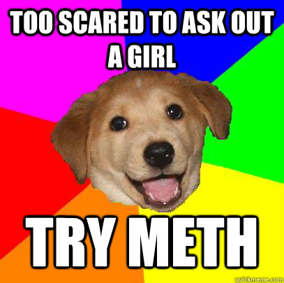 Too scared to ask out a girl Try meth - Too scared to ask out a girl Try meth  Advice Dog