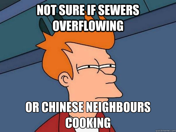 Not sure if sewers overflowing or chinese neighbours cooking  Not sure Fry