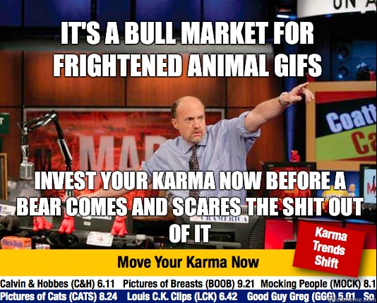 It's a bull market for frightened animal gifs Invest your karma now before a bear comes and scares the shit out of it  Mad Karma with Jim Cramer