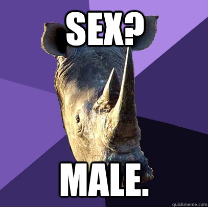Sex? male.  Sexually Oblivious Rhino