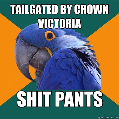 tailgated by Crown victoria shit pants  Paranoid Parrot