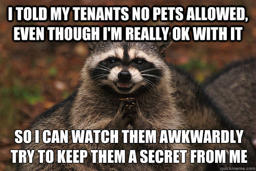 I told my tenants no pets allowed, even though i'm really ok with it so i can watch them awkwardly try to keep them a secret from me  Insidious Racoon 2