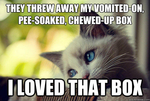 They threw away my vomited-on, pee-soaked, chewed-up box
 I loved that box - They threw away my vomited-on, pee-soaked, chewed-up box
 I loved that box  First World Problems Cat