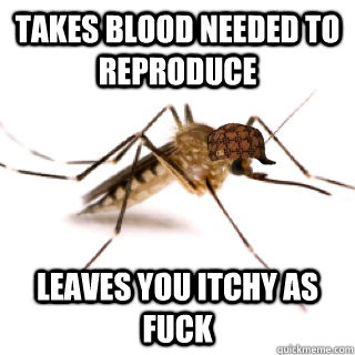 Takes blood needed to reproduce leaves you itchy as fuck  