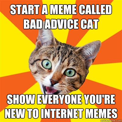 start a meme called bad advice cat show everyone you're new to internet memes  Bad Advice Cat