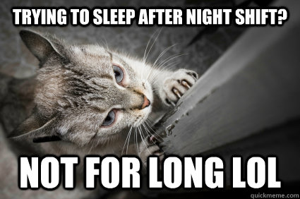 trying to sleep after night shift? not for long lol - trying to sleep after night shift? not for long lol  Cat scratching
