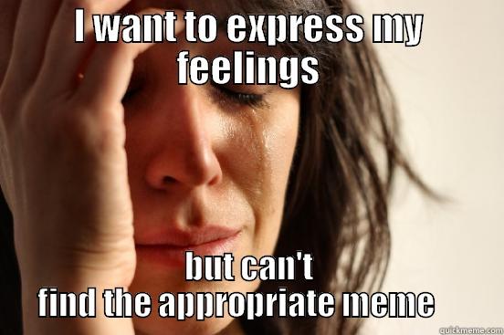I WANT TO EXPRESS MY FEELINGS BUT CAN'T FIND THE APPROPRIATE MEME     First World Problems