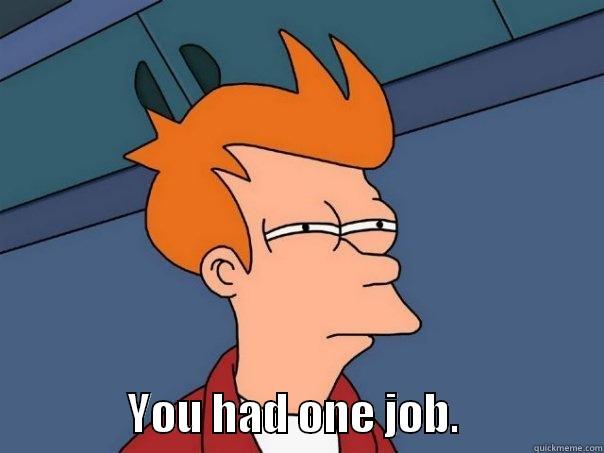                 YOU HAD ONE JOB.                Futurama Fry