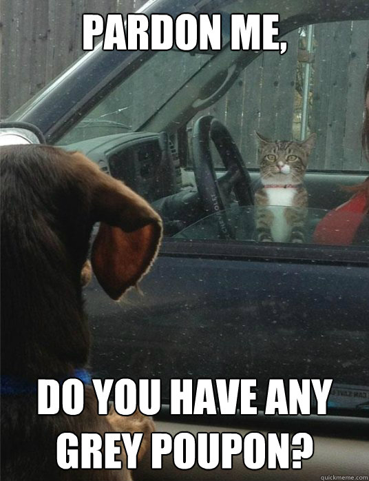 PARDON ME, Do you have any 
Grey Poupon? - PARDON ME, Do you have any 
Grey Poupon?  Cat needs directions